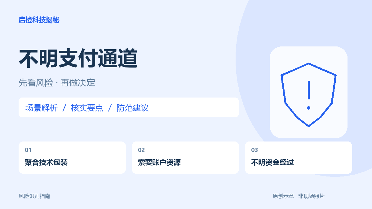 支付聚合项目要租你的账户：技术服务不能替代合规结算